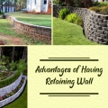 Elevate Your Landscape: 5 Transformative Benefits of Retaining Walls